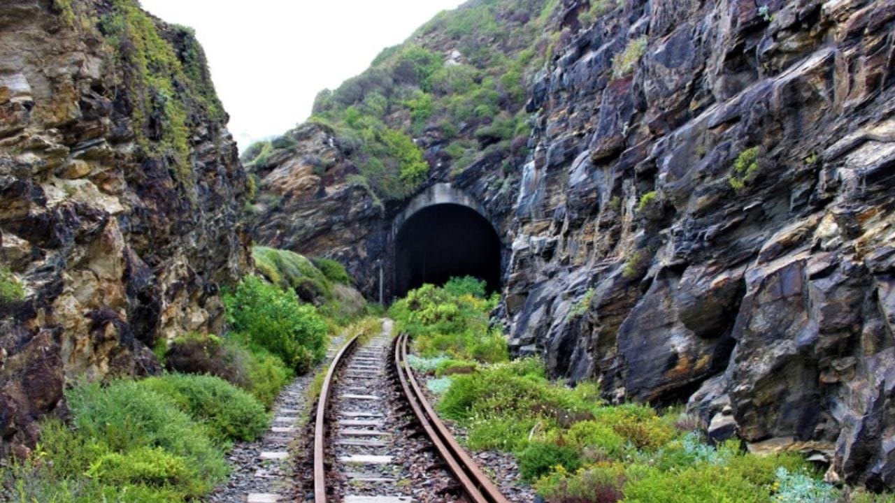 बोगदे आणि पुलांनी भरलेला रेल्वे मार्ग : हा रेल्वे मार्ग डोंगराळ भागातून जाणार असल्यामुळे त्याचा मोठा भाग बोगदे आणि पुलांमधून जाणार आहे. या प्रकल्पांतर्गत 62 बोगदे बांधले जाणार असून त्यांची एकूण लांबी सुमारे 270 किलोमीटर असेल.