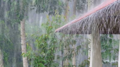 IMD Weather Update : पुन्हा राज्यावर संकट! अवकाळी पाऊस कोसळणार, तब्बल इतक्या जिल्ह्यांमध्ये..