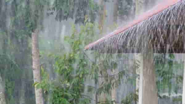 IMD Weather Update : पुन्हा राज्यावर संकट! अवकाळी पाऊस कोसळणार, तब्बल इतक्या जिल्ह्यांमध्ये..