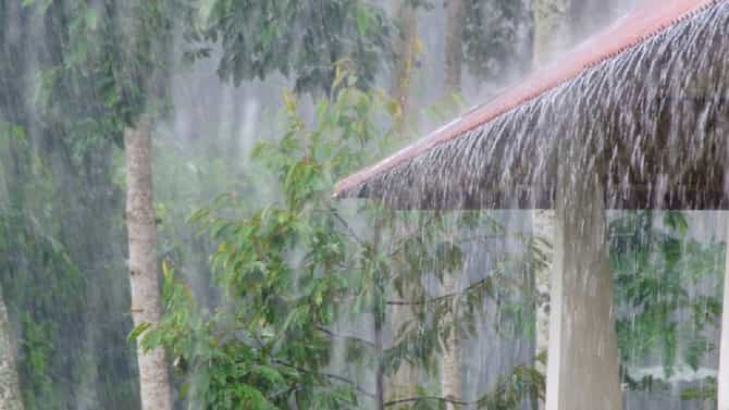 IMD Weather Update : पुन्हा राज्यावर संकट! अवकाळी पाऊस कोसळणार, तब्बल इतक्या जिल्ह्यांमध्ये..