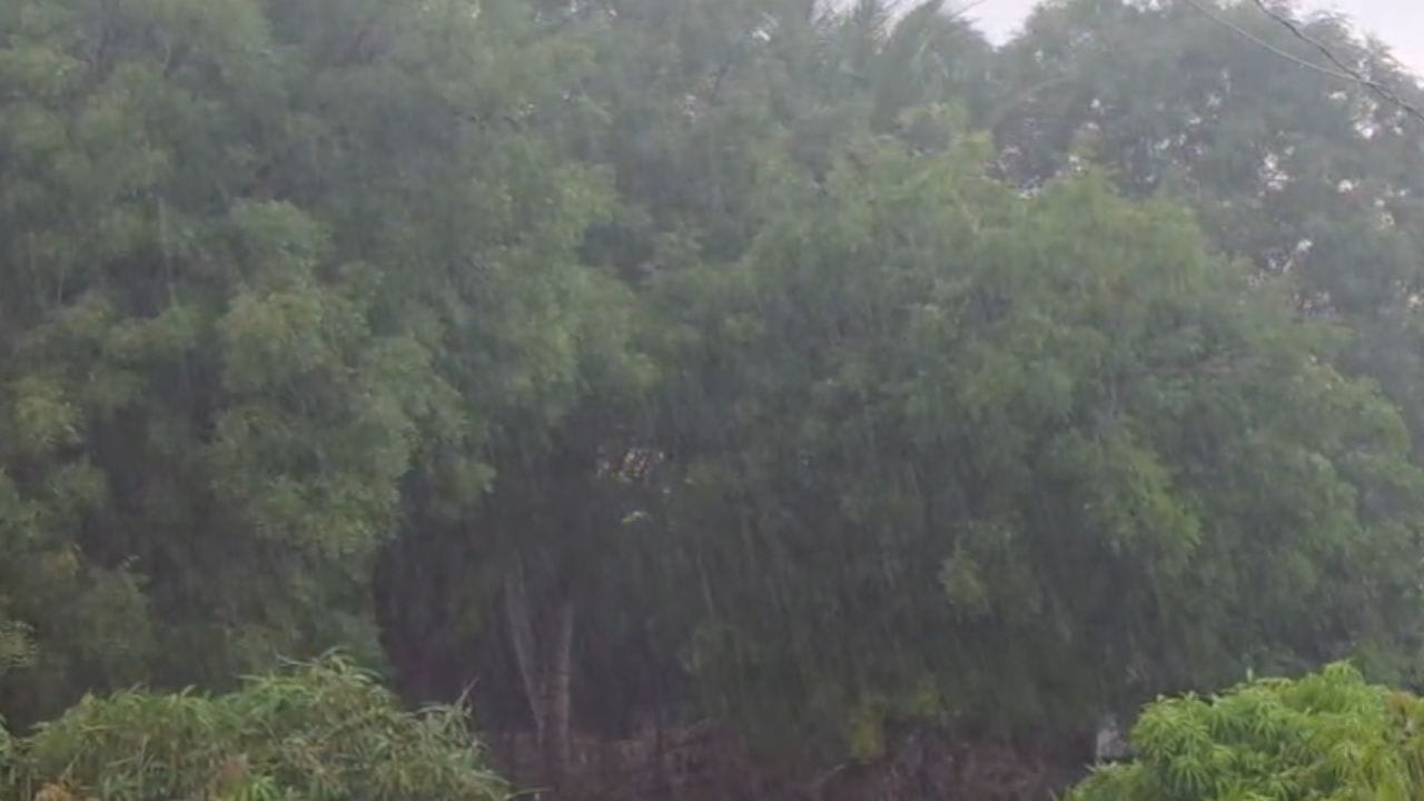 नाशिक : नाशिक जिल्ह्यात अवकाळी पावसाने हजेरी लावली. मालेगाव, मनमाड, सटाणा आणि कळवण परिसरात वादळी वाऱ्यासह पाऊस कोसळला. कांदा, डाळिंब आणि मका या पिकांना फटका बसण्याची शक्यता आहे.