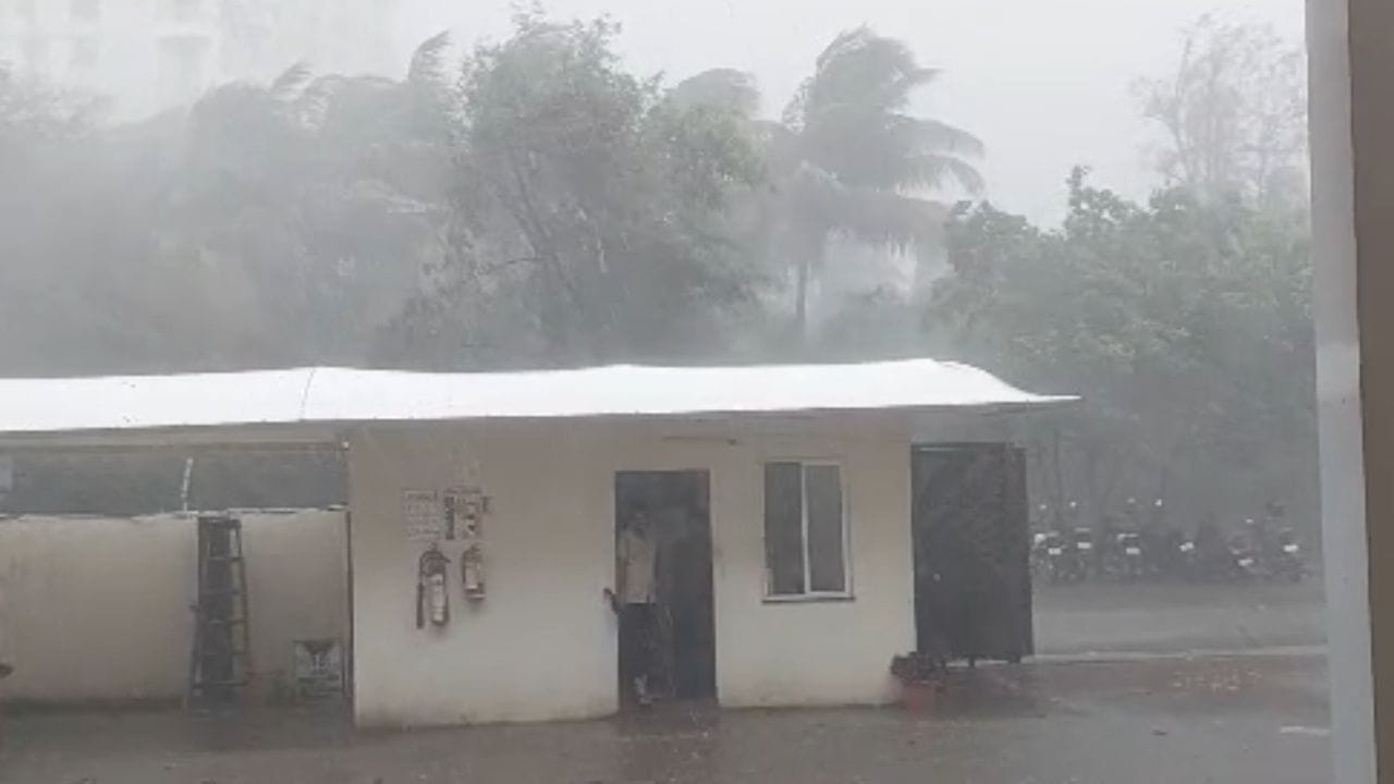 बीड : बीडच्या काही भागात अवकाळी पावसाने हजेरी लावली. विजेच्या कडकडाटासह रिमझिम पाऊस सुरू असल्याने उकाड्यापासून दिलासा मिळाला आहे. परंतु या पावसाने आंबा बागेसह भाजीपाला वर्गीय पिकांना देखील फटका बसला आहे.