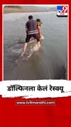 दाभोळ समुद्रकिनाऱ्यावर स्थानिकांनी वाचवला डॉल्फिनचा जीव - Video.