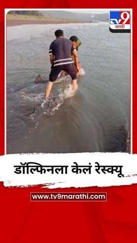 दाभोळ समुद्रकिनाऱ्यावर स्थानिकांनी वाचवला डॉल्फिनचा जीव - Video
