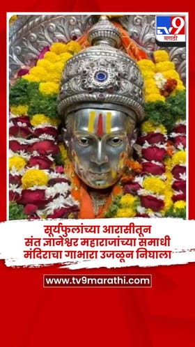सूर्यफुलांच्या आरासीतून संत ज्ञानेश्वर महाराजांच्या समाधी मंदिराचा गाभारा उजळून निघाला.
