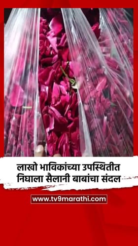 लाखो भाविकांच्या उपस्थितीत निघाला सैलानी बाबांचा संदल