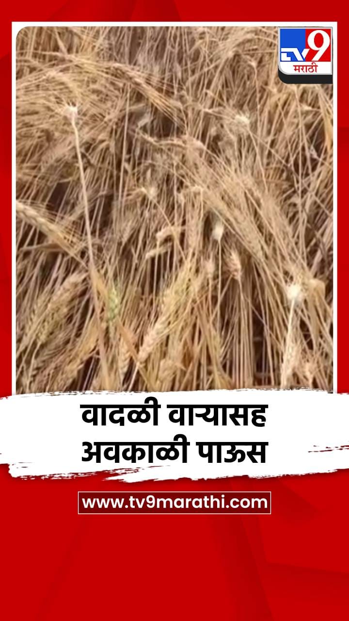 वादळी वाऱ्यासह अवकाळी पाऊस