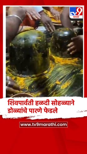 शिवपार्वती हळदी सोहळ्याने डोळ्यांचे पारणे फेडले