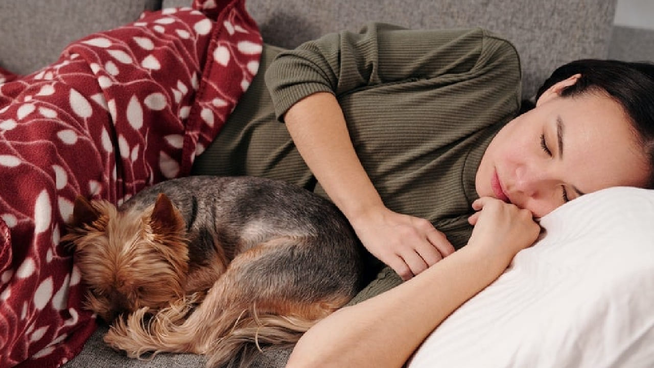 या अभ्यासानुसार, महिलांना आपल्या पाळीव कुत्र्यासोबत झोपल्यास अधिक आराम, सुरक्षितता आणि मानसिक शांतता मिळते असं समोर आलं आहे.