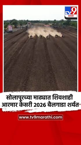 सोलापूरच्या माढ्यात शिवशाही आरमार केसरी 2026 बैलगाडा शर्यत