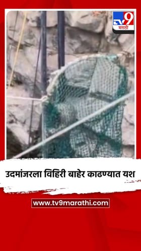 उदमांजरला विहिरी बाहेर काढण्यात यश