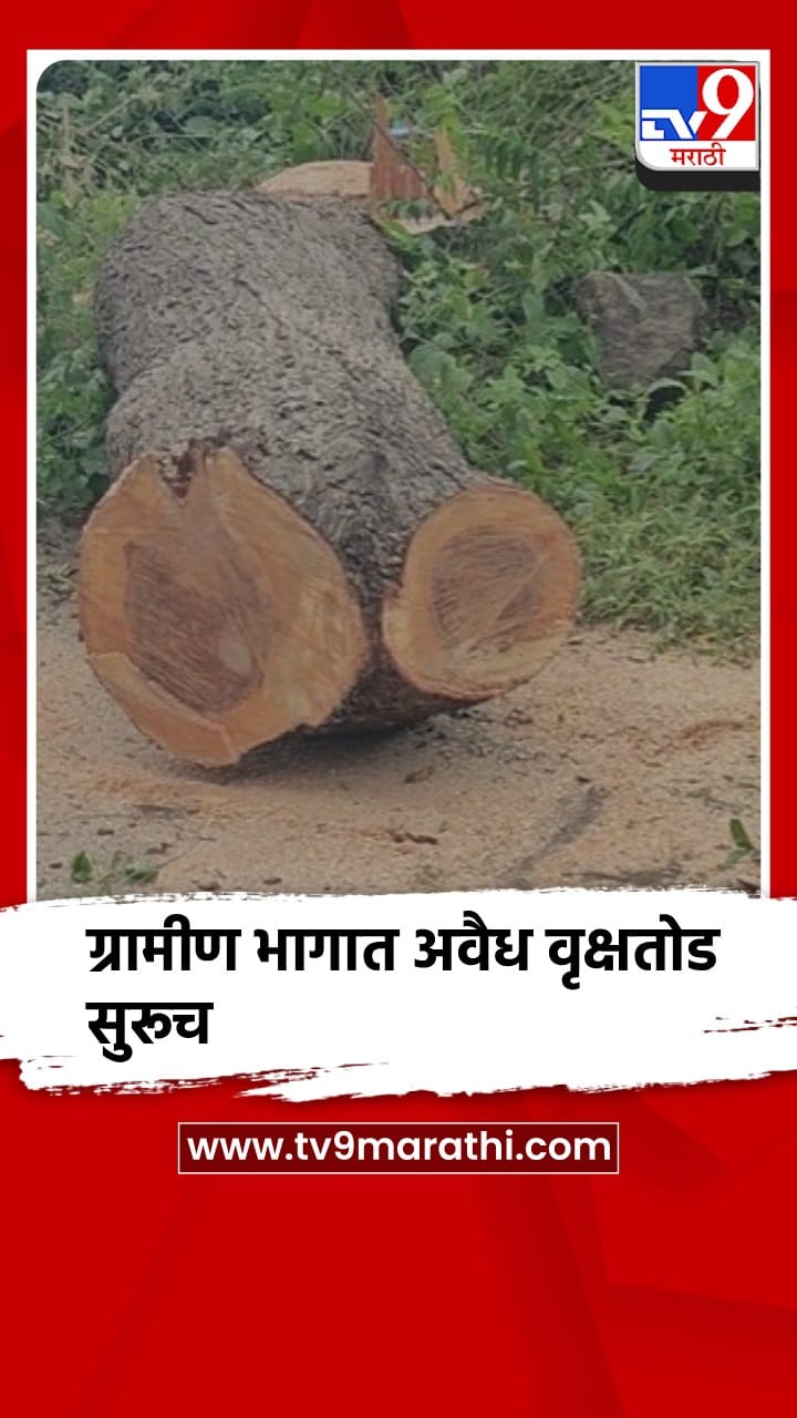 चाळीसगाव : डेरेदार वृक्षांच्या कत्तलीकडे वनविभागाचे दुर्लक्ष, कारवाईची मागणी