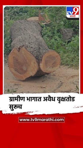 चाळीसगाव : डेरेदार वृक्षांच्या कत्तलीकडे वनविभागाचे दुर्लक्ष, कारवाईची मागणी