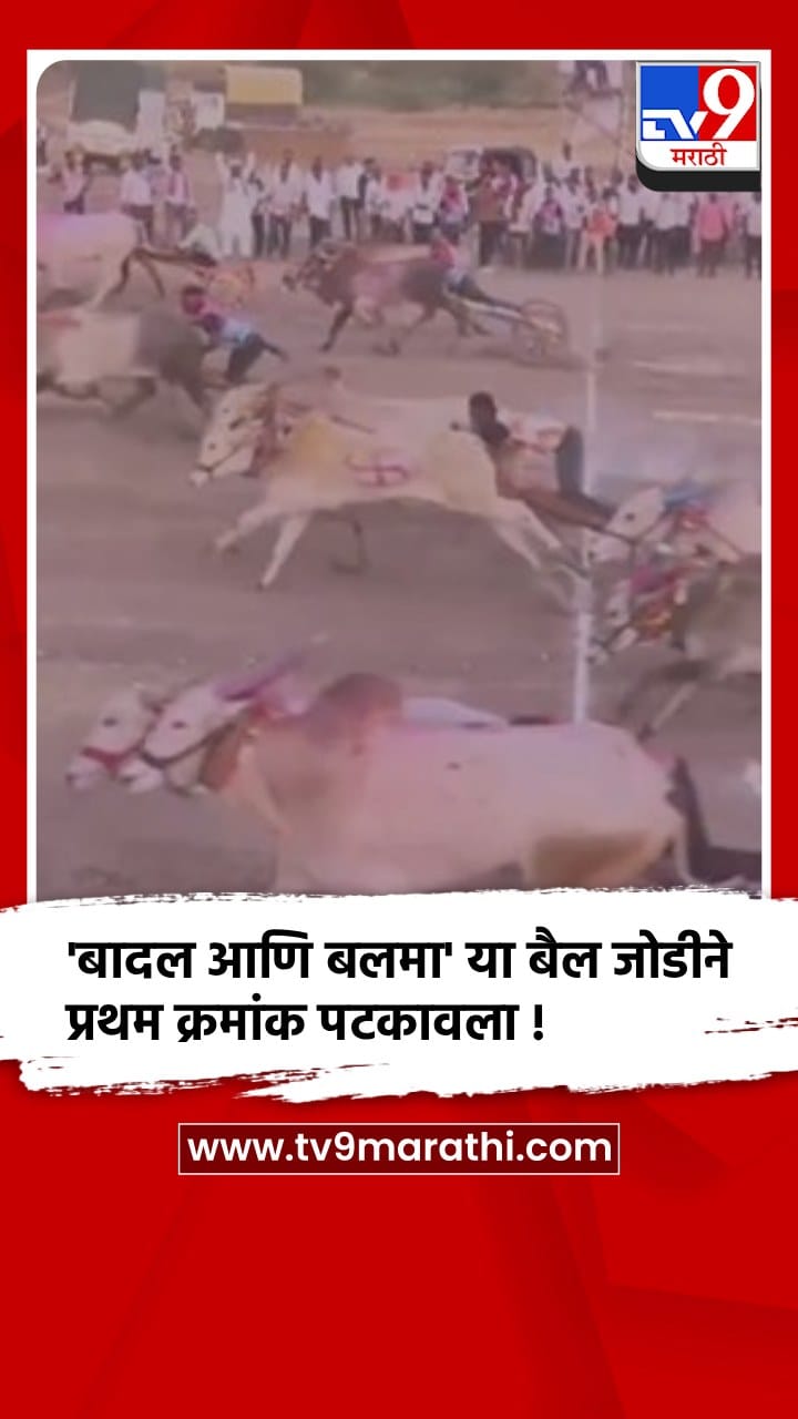 सातारा : माण तालुक्यात भव्य बैलगाडा शर्यतींचा धुरळा