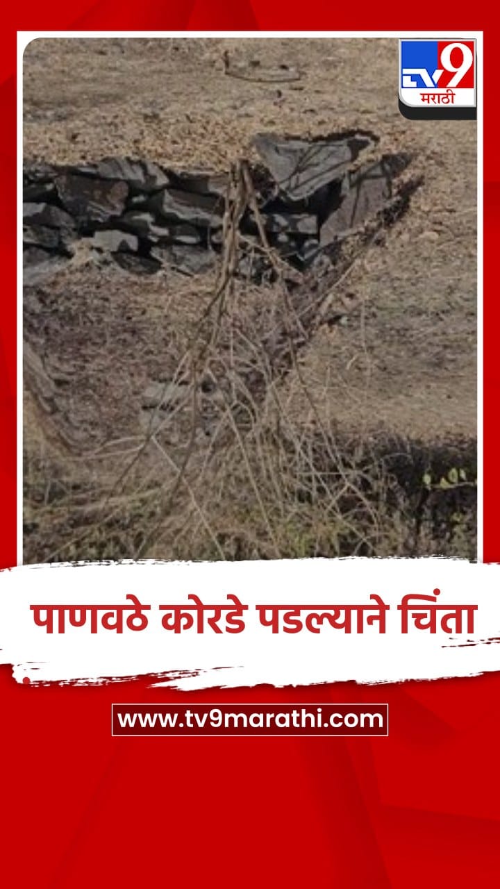 जळगाव - गौताळा वन्यजीव अभयारण्यातील पाणवठे आटू लागले