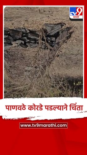 जळगाव - गौताळा वन्यजीव अभयारण्यातील पाणवठे आटू लागले