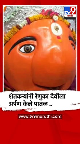 बुलढाणा : आजपासून रेणुका देवीच्या यात्रा महोत्सवाला सुरुवात