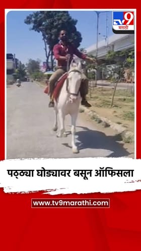 पठ्ठ्या घोड्यावर बसून ऑफिसला