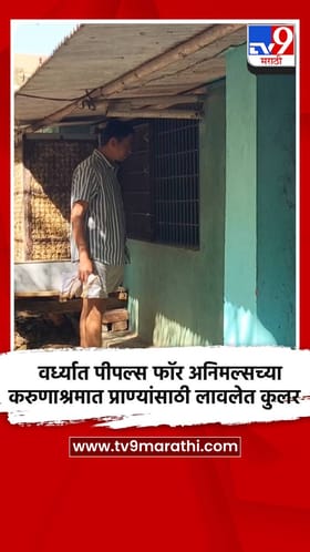 वर्ध्यात पीपल्स फॉर अनिमल्सच्या करुणाश्रमात प्राण्यांसाठी लावलेत कुलर