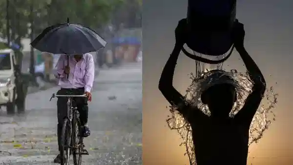 Weather Update: पुढील 48 तास धोक्याचे! हवामान विभागाचा मोठा इशारा, अनेक जिल्ह्यांना हाय अलर्ट