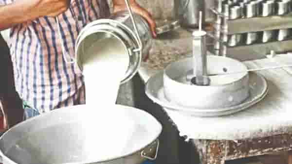भेसळयुक्त दूध पिल्याने तब्बल 16 जणांचा तडफडून मृत्यू, डेअरी मालकाने...सत्य समोर येताच खळबळ!
