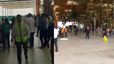 किताही पैसा घ्या, फक्त येथून बाहेर काढा!; पैशांनी भरलेल्या बॅगा घेऊन श्रीमंत तयार, विमानाचे तिकिट 3.2 करोडला