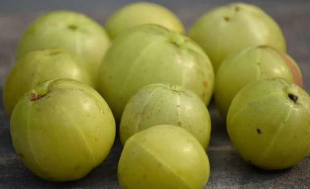 आवळा या फळात व्हिटॅमिन असू शकते. आवळ्यात अँटीऑक्सिडंट असते. त्यामुळे रोगप्रतिकारशक्ती वाढते. आवळ्यामुळे सर्दी, खोकला, इन्फेक्शन होत नाही. त्यामुळेच आयुर्वेदात आवळ्याला खूप महत्त्व आहे.