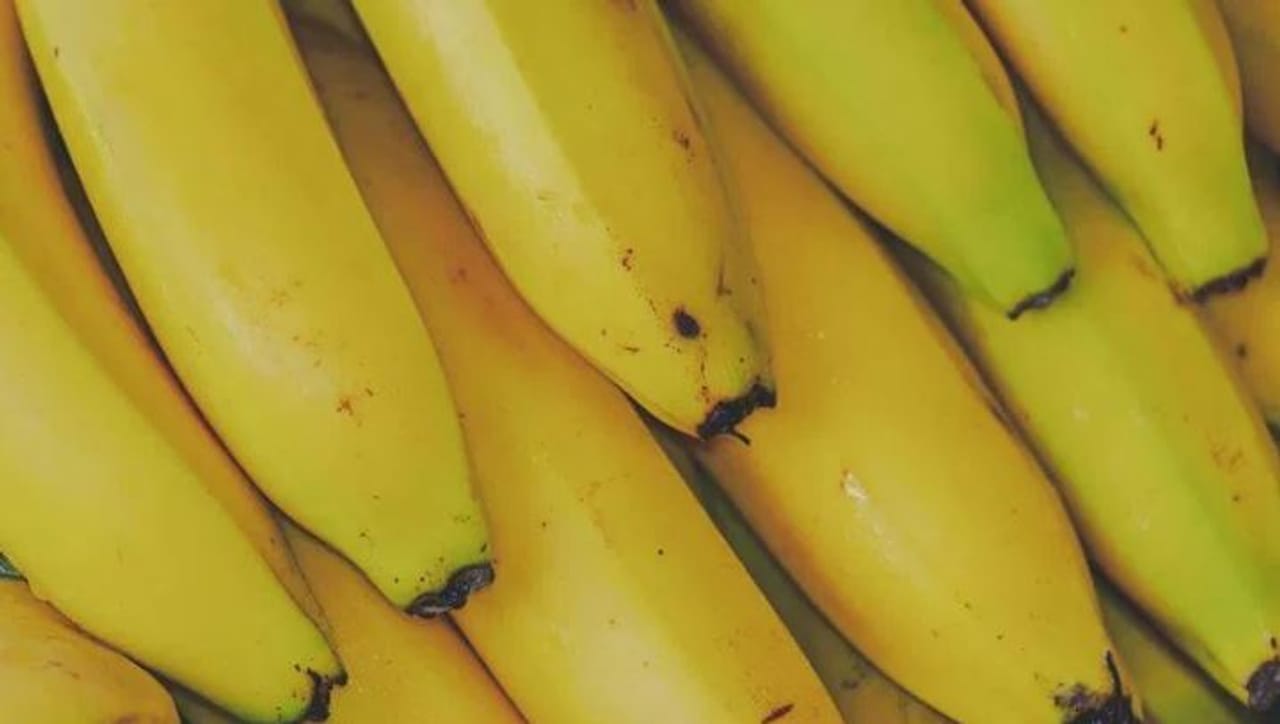 तुम्ही चित्रपटात किंवा बाजारात अनेकदा एखादी व्यक्ती केळीच्या सालीवर घसरताना पाहिली असेल. कधीकधी तुमच्यासोबतही ही घटना घडलेली असेलच. परंतु हे नेमकं का होतं? यामागचं कारण तुम्हाला माहिती आहे का? 