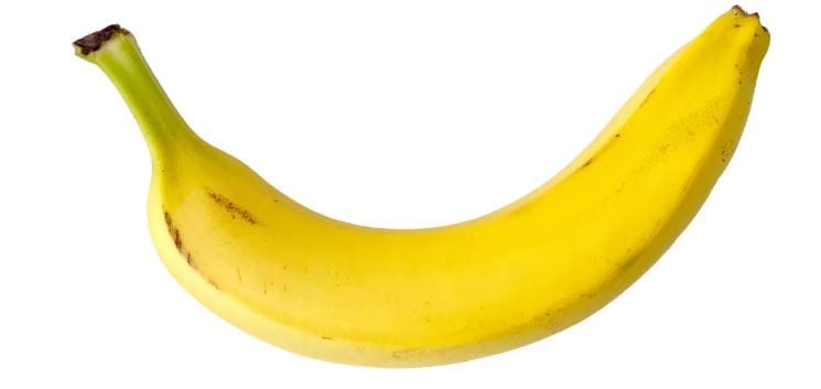 केळीच्या सालीवरून घसरण्यामागे विज्ञान आहे. जेव्हा एखादी व्यक्तीचा पाय केळीच्या सालीवरून घसरतो तेव्हा केळीची साल आणि जमीन यांच्यातील घर्षण खूप कमी असते. त्यामुळेच तुमच्या ओझ्यामुळे केळीचील घसरते आणि तुम्हीदेखील खाली कोसळता. 