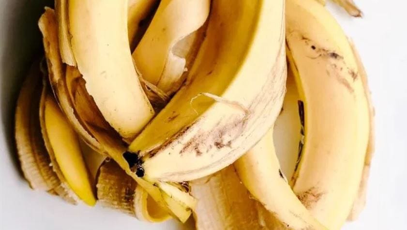 परिणामी तुमचा पाय जास्तच घसरत जातो. या द्रवपदार्थात पाणी, साखर आणि प्रोटीन असते. केळीच्या सालीवरून पाय घसरण्याचे मुख्य कारण घर्षण हेच आहे. वैज्ञानिकांनी केलेल्या अभ्यासानुसार केळीच्या सालीचा घर्षण गुणांक (Friction Coefficient) हा 0.07 एवढा असतो. 