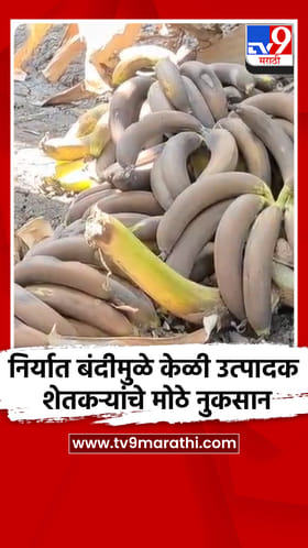 निर्यात बंदीमुळे केळी उत्पादक शेतकऱ्यांचे मोठे नुकसान.