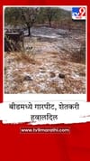 बीडच्या केज तालुक्यात गारपीटीचा हाहाकार; सर्वत्र साचले गारांचे थर, पिकांचे अतोनात नुकसान.
