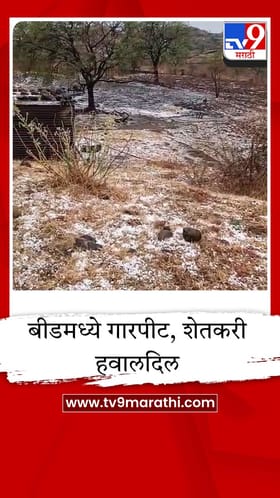 बीडच्या केज तालुक्यात गारपीटीचा हाहाकार; सर्वत्र साचले गारांचे थर, पिकांचे अतोनात नुकसान