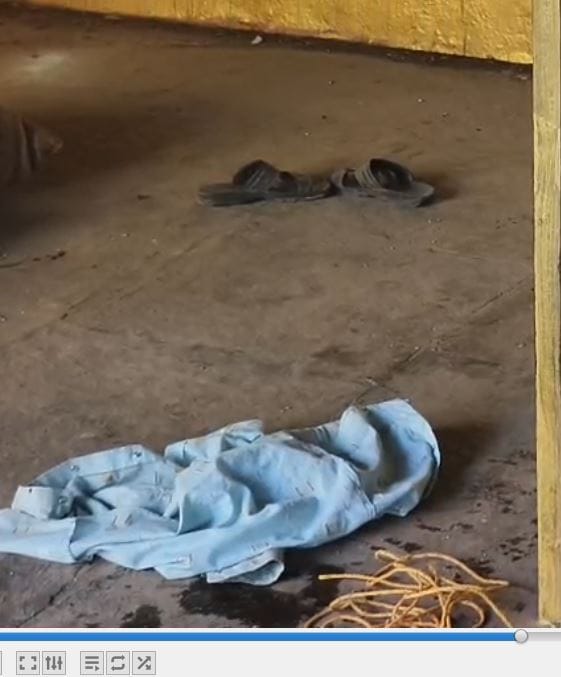 याप्रकरणी आरोपी वैभव पटेकर याच्या विरोधात पिंपळनेर पोलिसात गुन्हा दाखल करण्यात आला असून त्याला अटक करण्यात आली आहे. दरम्यान पिडीतेच्या पतीने tv9 शी बोलताना संपूर्ण घटनाक्रम सांगितला आहे.