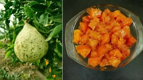 उन्हाळ्यात बेल फळांपासून बनवलेला मुरंबा देतो थंडावा, रेसीपी वाचा.