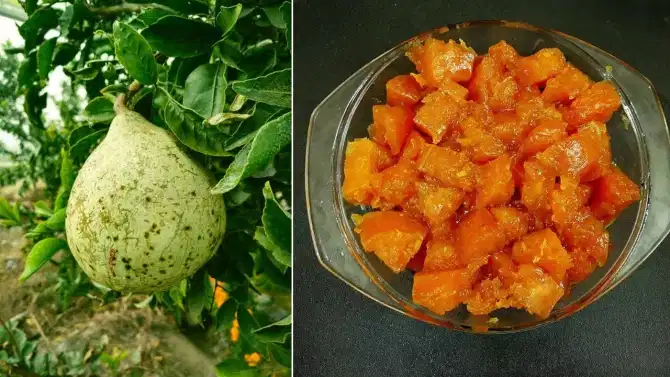 उन्हाळ्यात बेल फळांपासून बनवलेला मुरंबा पोटाला देतो थंडावा, जाणून घ्या बनवण्याची सोपी रेसिपी