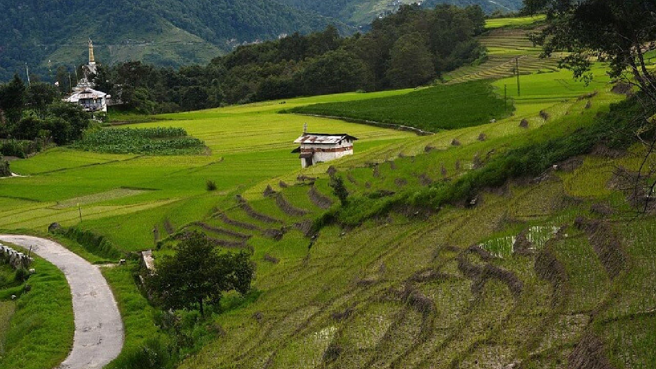 पासीघाट हे ठिकाण फोटोग्राफीची आवड असलेल्या लोकांसाठी स्वर्गासारखे मानले जाते. येथे निसर्गाचे विविध रंग, धुक्याने वेढलेले डोंगर आणि नदीकाठी दिसणारे सुंदर दृश्य कॅमेऱ्यात टिपण्यासाठी उत्तम संधी देतात. 