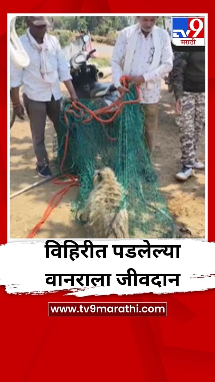 विहिरीत पडलेल्या जखमी वानराला जीवदान