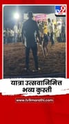 नसरापूर गावात यात्रा उत्सवानिमित्त भव्य कुस्ती; चांदीची गदा अन् 4 लाखांपर्यंत बक्षिसे.