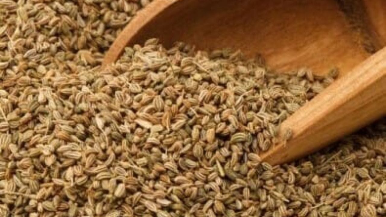 रात्री झोपण्याआधी अर्धा चमचा ओवा खाणे हे भारतीय घरात सर्वात जुना आणि परिणामकारक उपचार मानला जातो. हा आजीबाईच्या बटव्यातील उपचार तुमच्या आरोग्यासाठी खूपच गुणकारी आहे. 