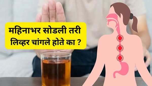 जेव्हा तुम्ही मद्य पिता त्यावेळी तुमचे यकृत म्हणजे लिव्हरला ते पचवण्यासाठी खूप जास्त काम करावे लागते. रोज दारु पिल्याने यकृताच्या पेशींचे नुकसान होऊ शकते. तेथे चरबी जमून जळजळ निर्माण होऊ शकते. मात्र, जर तुम्ही मद्य पिणे थांबवले तर यकृतात आपोआप रिकव्हर होण्याची आणि पुन्हा तयार होण्याची क्षमता असते.