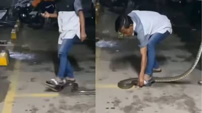 Viral Video: सापाला पायाच्या खाली दाबले, नंतर जे झाले ते पाहून काळजाचा थरकाप होईल...