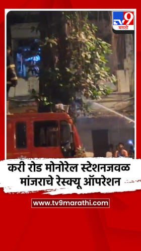 करी रोड मोनोरेल स्टेशनजवळ मांजराचे रेस्क्यू ऑपरेशन.