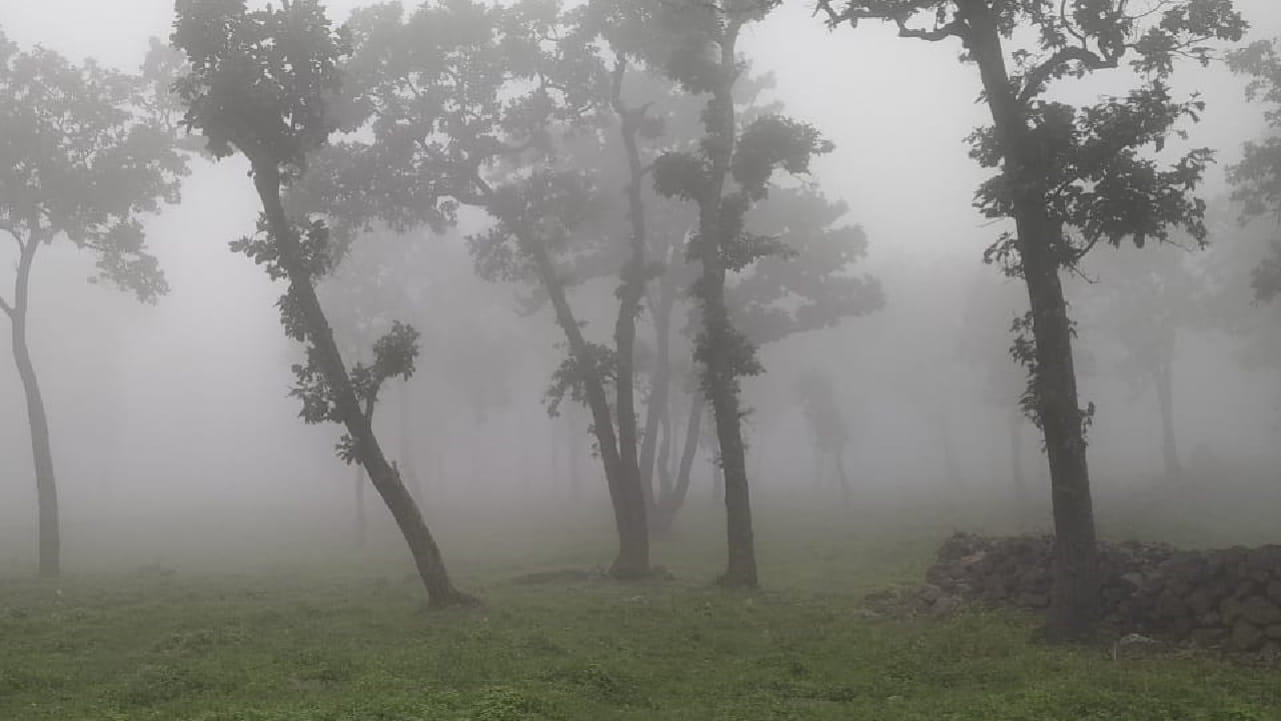 समुद्रसपाटीपासून सुमारे 3300 फूट उंचीवर वसलेले हे ठिकाण थंड हवामान आणि हिरवाईसाठी प्रसिद्ध आहे.