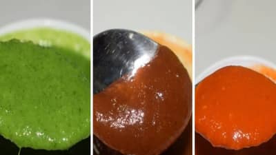 या 5 स्वादिष्ट चटण्या... जेवणाची लाढवतील चव, लगेच जाणून घ्या रेसिपी