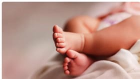 तिसरं आपत्य जन्माला घातलं तर मिळणार 85000, सरकारची मोठी घोषणा.