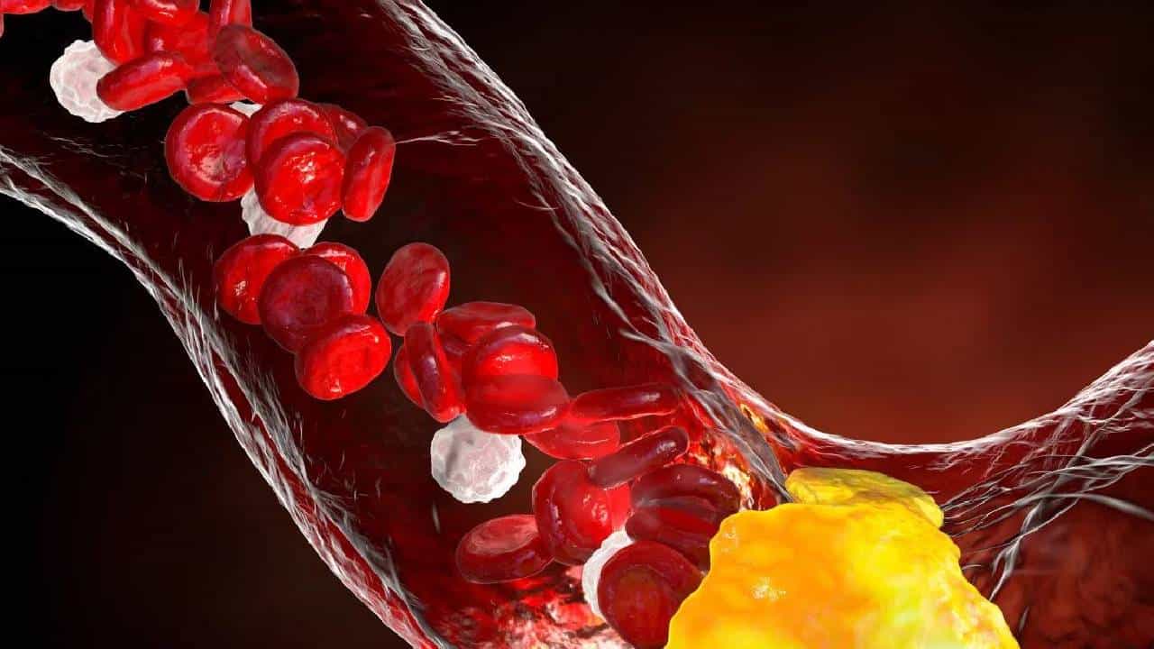 आपल्या सर्वांनाच माहिती आहे की, दूध आपल्या आरोग्यासाठी अत्यंत फायदेशीर ठरते. दुधाचा दररोजच्या आहारात समावेश केल्याने असंख्य आरोग्य समस्या दूर होतात.