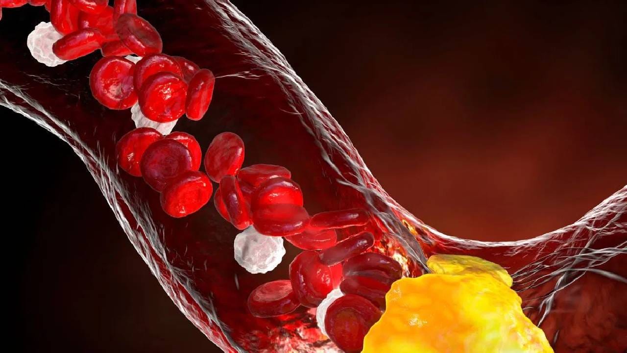 आपल्या सर्वांनाच माहिती आहे की, दूध आपल्या आरोग्यासाठी अत्यंत फायदेशीर ठरते. दुधाचा दररोजच्या आहारात समावेश केल्याने असंख्य आरोग्य समस्या दूर होतात.