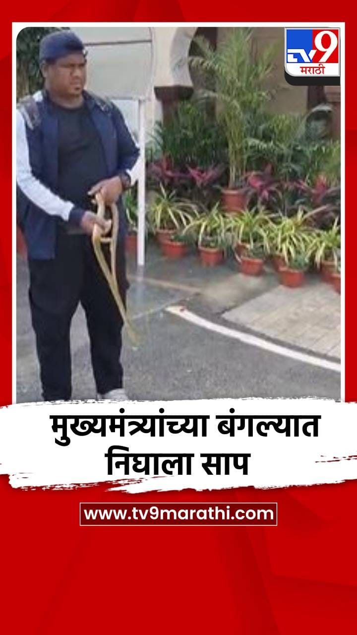 Video : मुख्यमंत्र्यांच्या बंगल्यावर निघाला साप, पुढे काय घडलं?