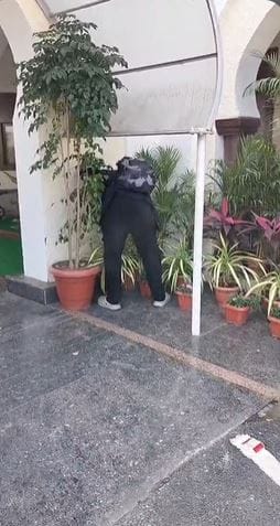 या बंगल्याच्या परिसरात एक साप आढळला आहे. हा साप दिसून आल्यानंतर काही काळासाठी सर्वत्र तारांबळ उडाल्याचे पाहायला मिळाले. मिळालेल्या प्राथमिक माहिती नुसार आढळलेला हा साप धामण प्रजातीचा होता.